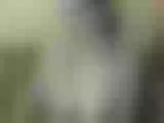Live sex webcam photo for Nika3Cams #203175640