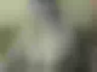 Live sex webcam photo for Nika3Cams #203587127