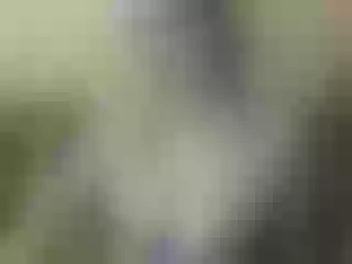 Live sex webcam photo for Nika3Cams #203602264