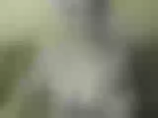 Live sex webcam photo for Nika3Cams #205120792