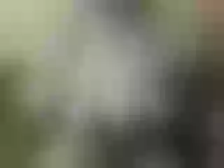 Live sex webcam photo for Nika3Cams #205139245