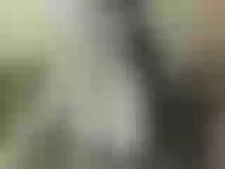 Live sex webcam photo for Nika3Cams #205278124