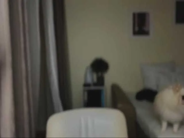 Live sex webcam photo for NikandJane #290531477