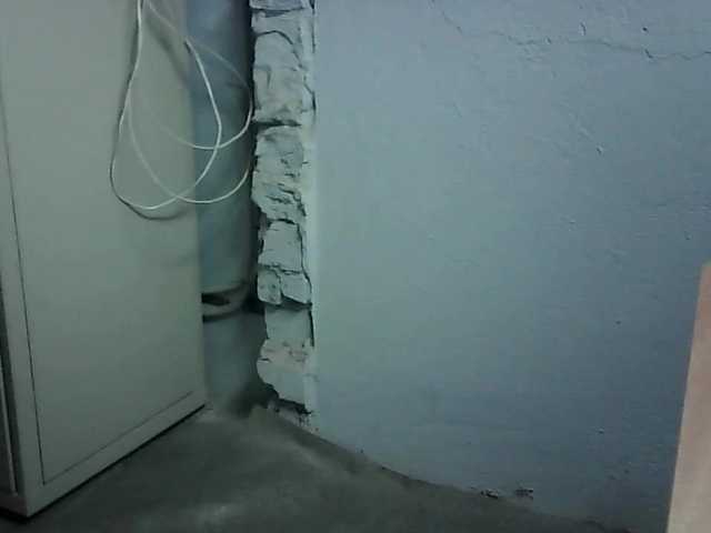 Live sex webcam photo for Nikdov3 #276961837