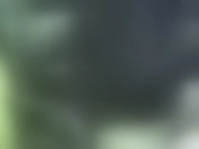 Live sex webcam photo for Nikdov3 #292452450