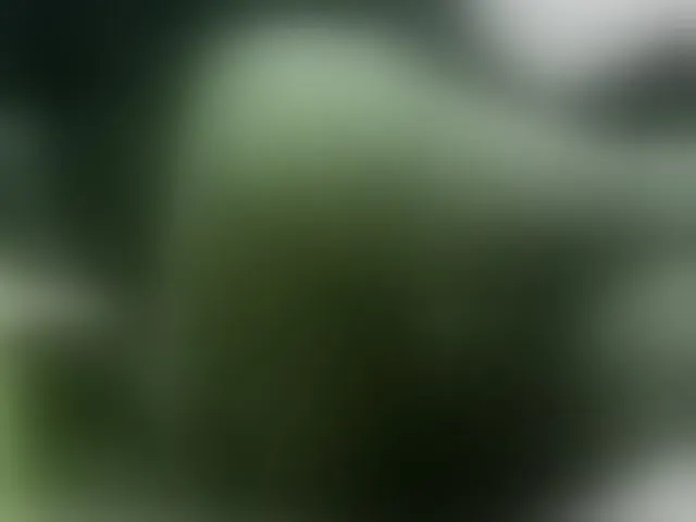 Live sex webcam photo for Nikdov3 #292670108