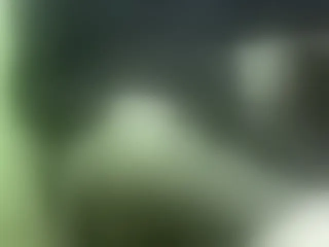 Live sex webcam photo for Nikdov3 #293461083