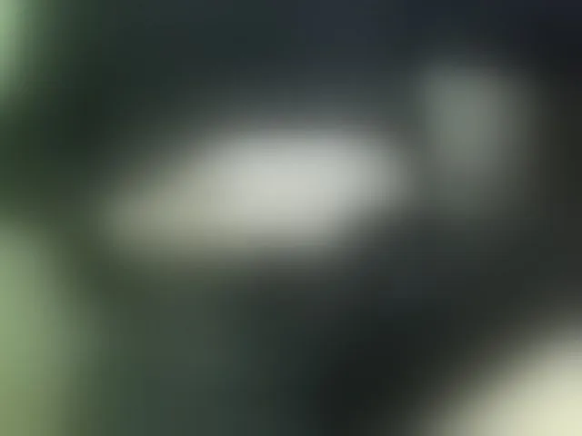 Live sex webcam photo for Nikdov3 #293825081