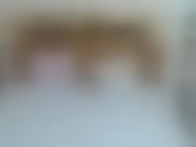 Live sex webcam photo for NikkiMilky #292452486