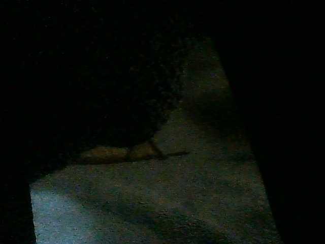 Live sex webcam photo for Nikky0007 #276105391