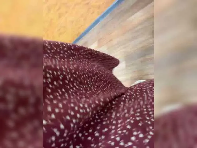 Live sex webcam photo for NikkySecrets #291783017