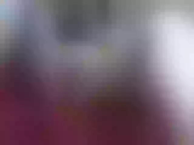 Live sex webcam photo for Nikol19721 #291240333