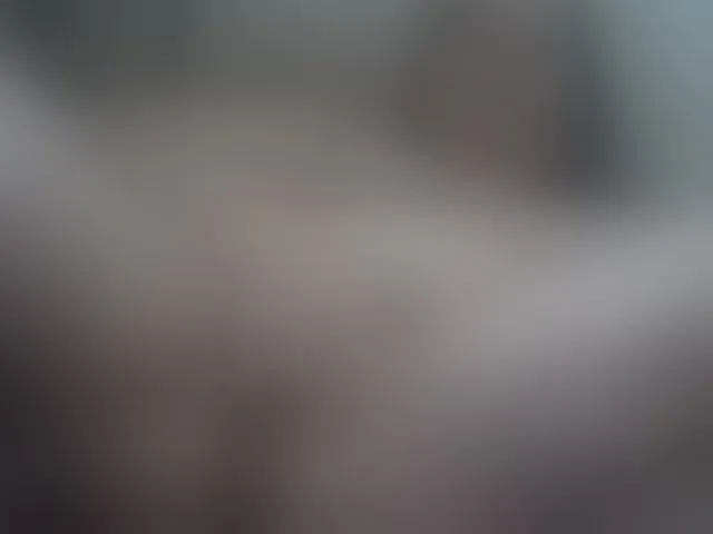 Live sex webcam photo for Nikol19721 #292372395