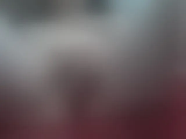 Live sex webcam photo for Nikol19721 #293785484