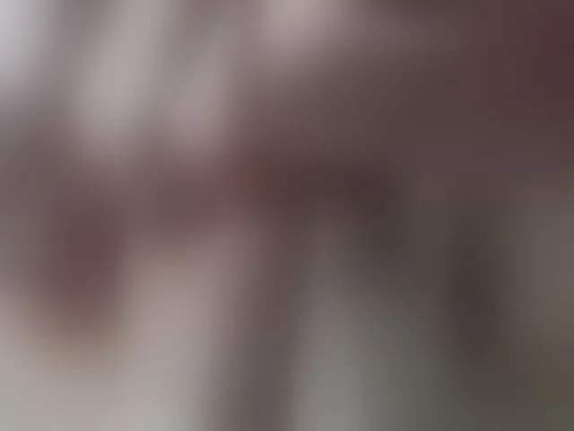Live sex webcam photo for Nikoly221 #292616248