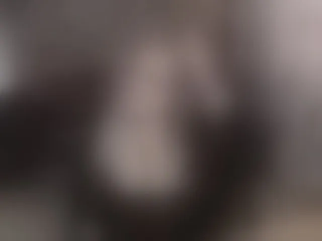 Live sex webcam photo for Nimphotease #294247741