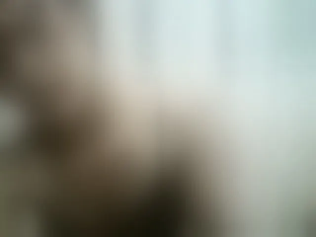 Live sex webcam photo for Nina-001 #293216413