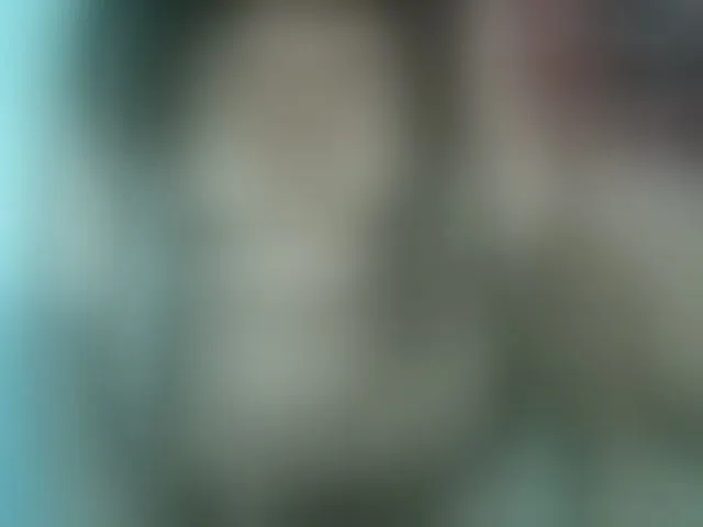 Live sex webcam photo for Nina-001 #293232429