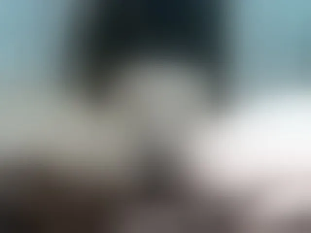 Live sex webcam photo for Nina-001 #293264615