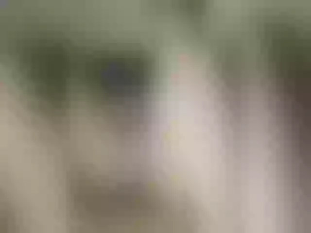 Live sex webcam photo for Nina22x #290627177