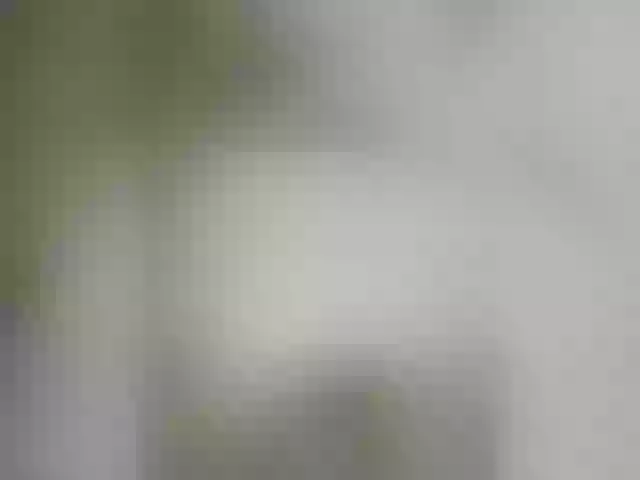 Live sex webcam photo for NinaBelluschi #273915166