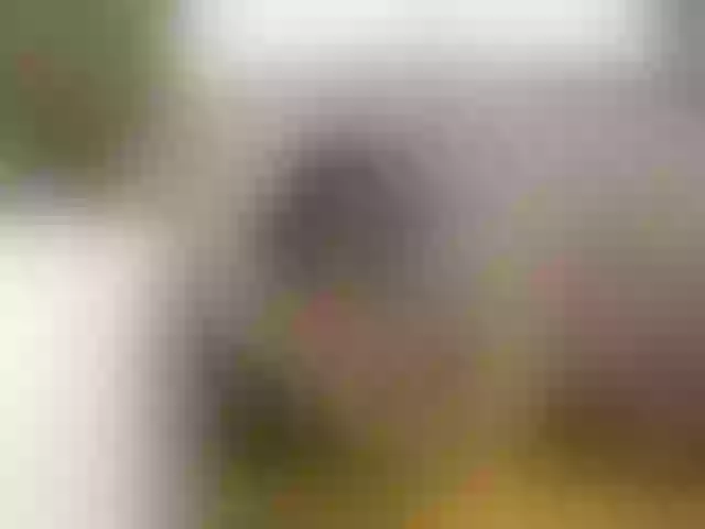 Live sex webcam photo for NinaRay #272595735