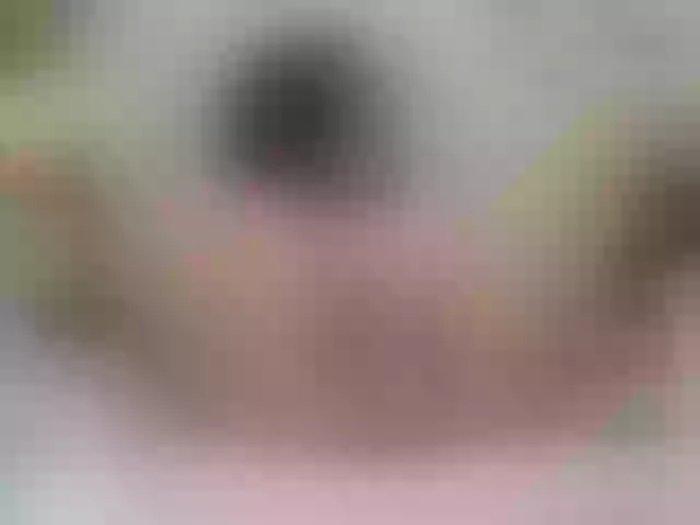Live sex webcam photo for NinaRay #273052072
