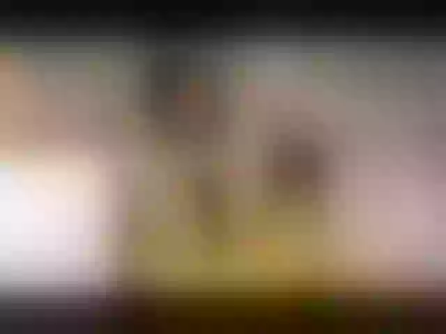 Live sex webcam photo for NinaRay #273676104