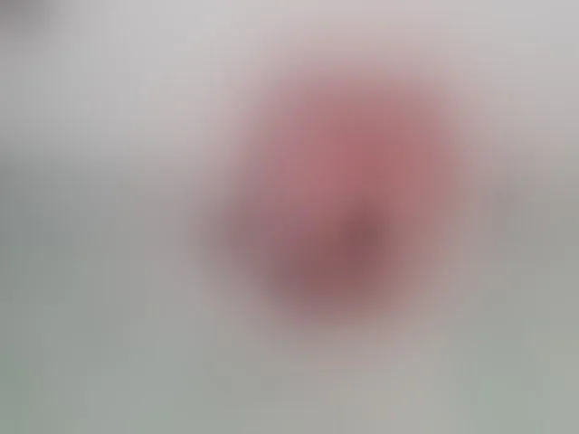 Live sex webcam photo for NinaaGrey #292958016