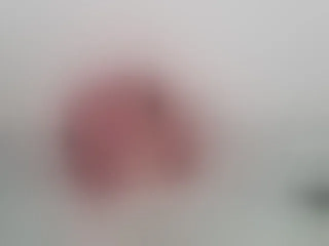 Live sex webcam photo for NinaaGrey #293015677