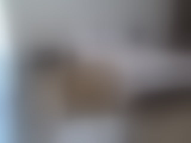 Live sex webcam photo for Nino4ka16 #294116962