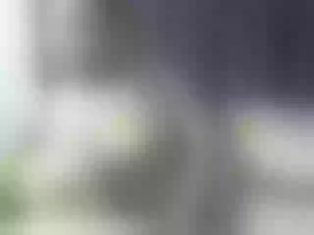 Live sex webcam photo for Nipplebeb #290352079