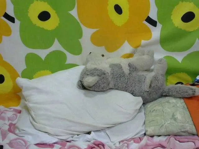 Live sex webcam photo for Nirinnah #276638373