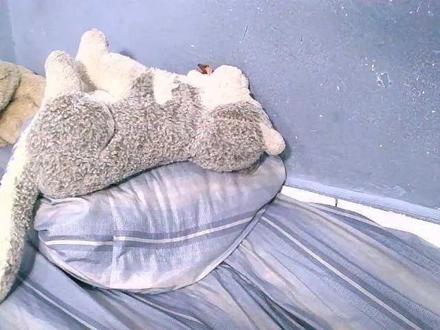 Live sex webcam photo for Nirinnah #277650779