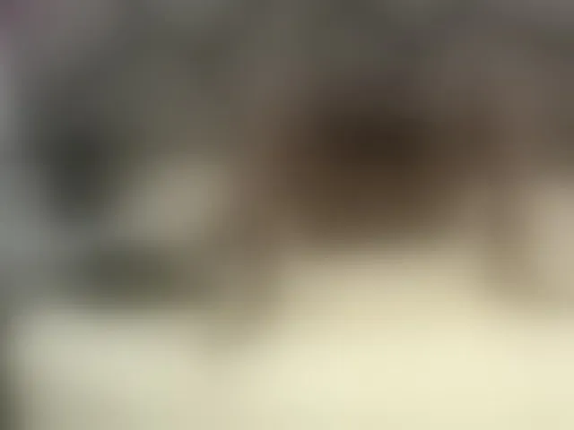 Live sex webcam photo for NoahJhonson69 #292391701