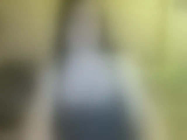 Live sex webcam photo for Noel-Lisa #293013634