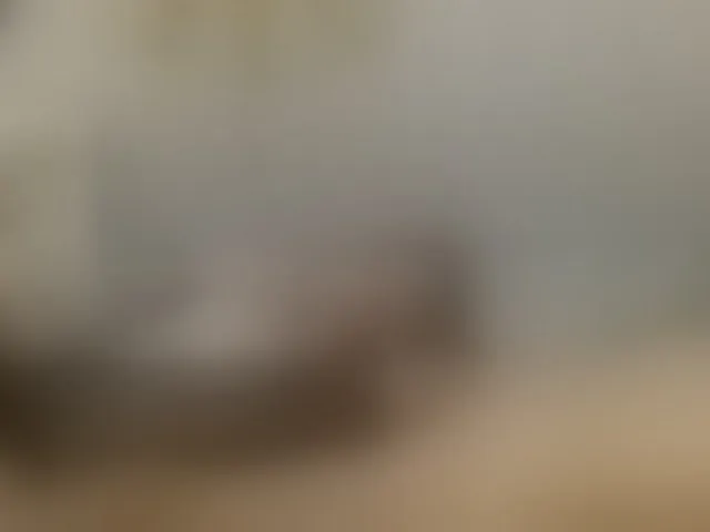 Live sex webcam photo for NoemyAndLian #273076145