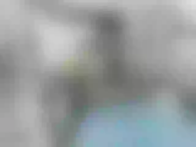 Live sex webcam photo for Noha-scott #291929324