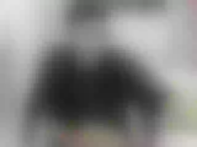 Live sex webcam photo for Noha-scott #291969992