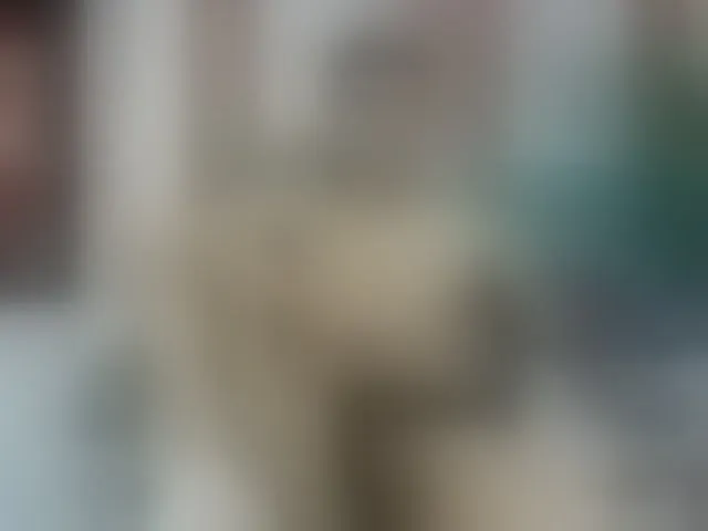 Live sex webcam photo for Noha-scott #293057359