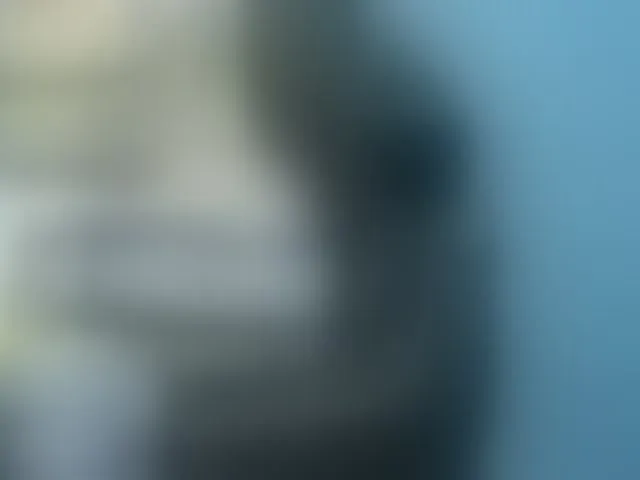 Live sex webcam photo for NoirPersona #293582032