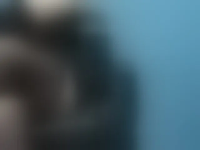 Live sex webcam photo for NoirPersona #293591568