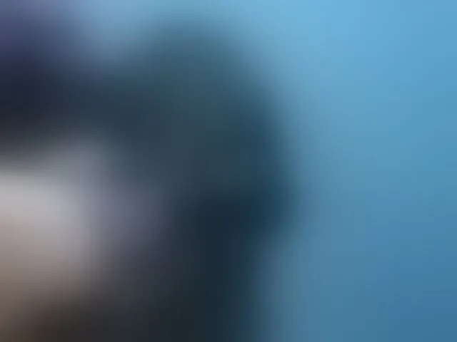 Live sex webcam photo for NoirPersona #293620855