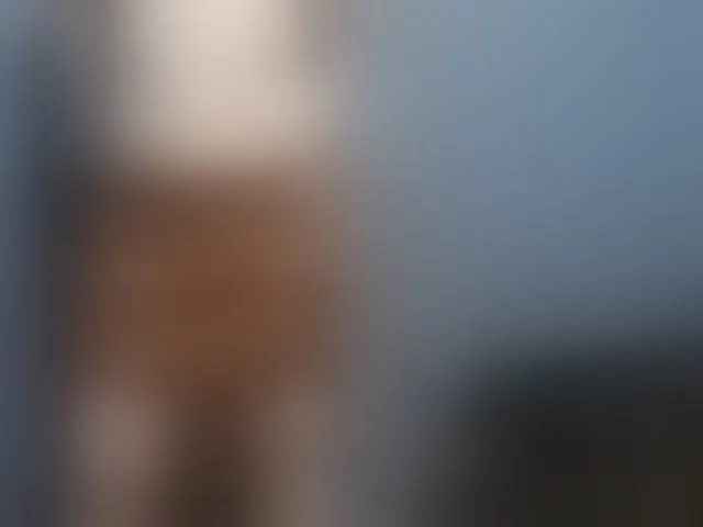 Live sex webcam photo for NoirPersona #293683112