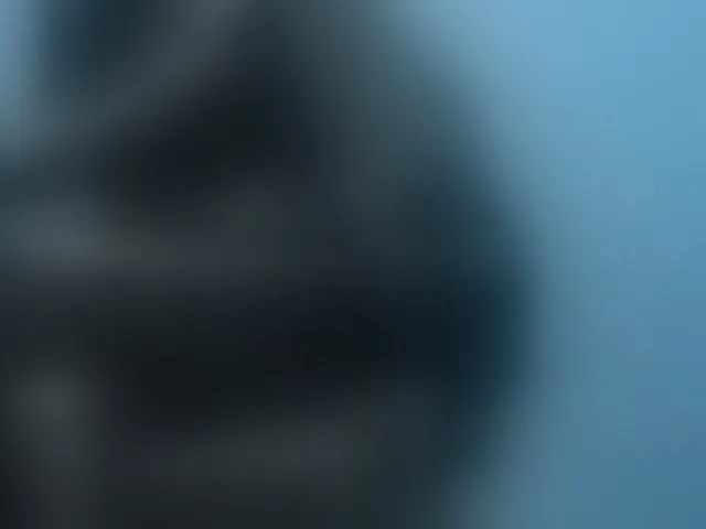 Live sex webcam photo for NoirPersona #293688345