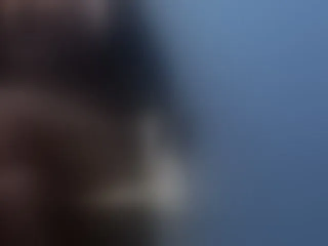 Live sex webcam photo for NoirPersona #293693746