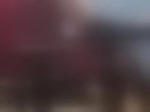 Live sex webcam photo for NoirPersona #294250409