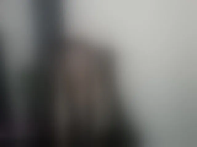 Live sex webcam photo for Norehg #292659294