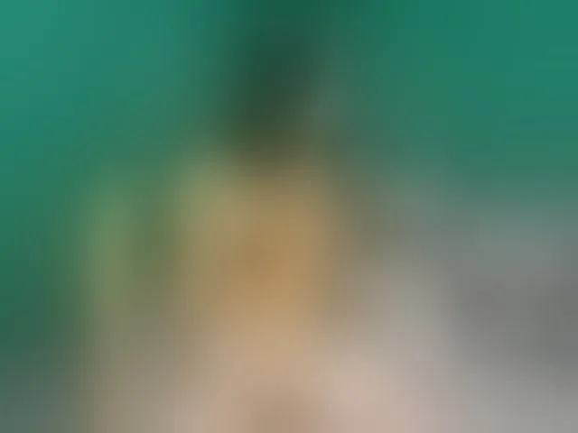 Live sex webcam photo for NormanMash #292333076