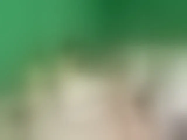 Live sex webcam photo for NormanMash #292357204